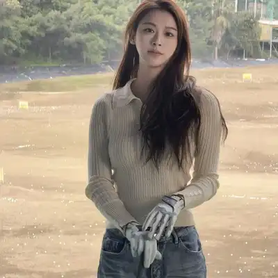 武辉